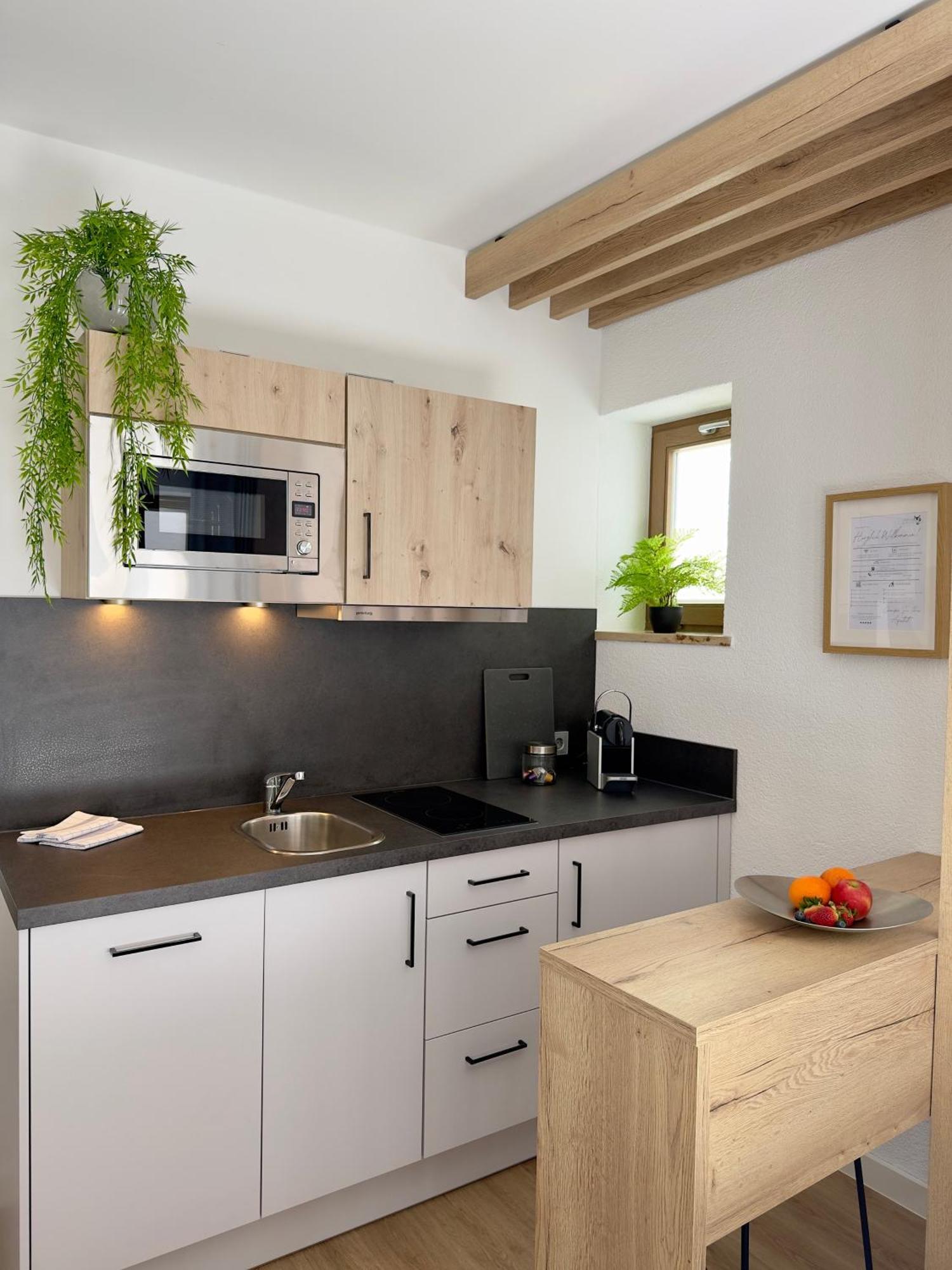 גונצנהאוזן Living & Serviced Apartments By Blauer Wolf מראה חיצוני תמונה