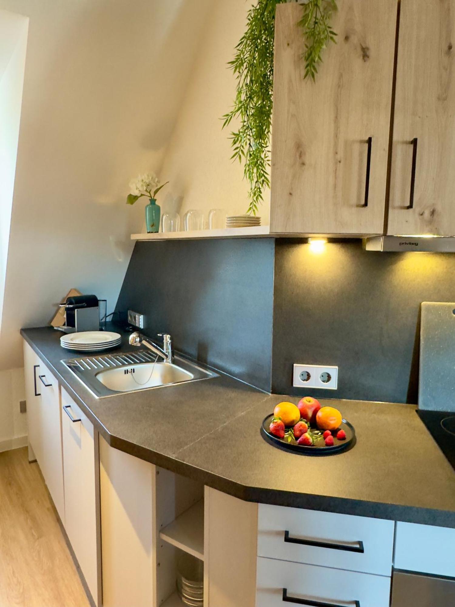 גונצנהאוזן Living & Serviced Apartments By Blauer Wolf מראה חיצוני תמונה